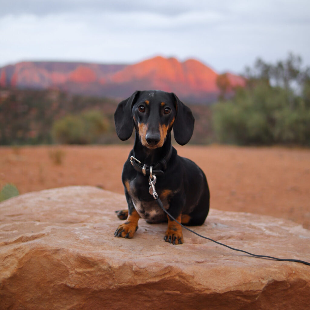 huey in sedona